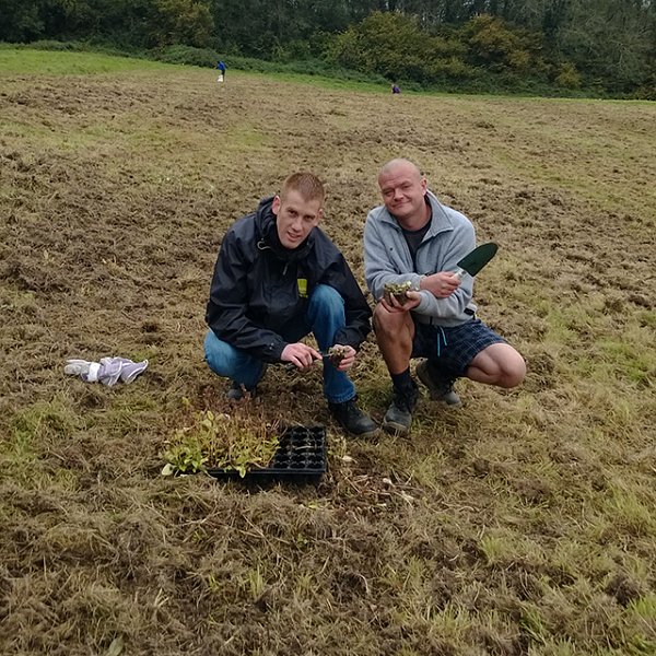 Making Meadows